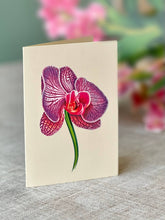 Load image into Gallery viewer, Orchid OasisPop-up Greeting Cards