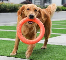 Load image into Gallery viewer, Dog Ring Toy