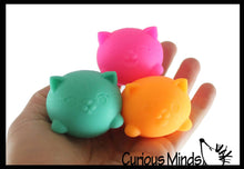 Load image into Gallery viewer, NeeDoh Teenie Cool Cat Groovy Soft Doh Filled Stretch Ball -
