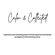 Load image into Gallery viewer, EVERYDAY CAR DIFFUSERS: SKIP LAUNDRY DAY