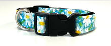 Load image into Gallery viewer, Dog Collars