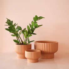 Load image into Gallery viewer, Presley Pedestal Pot - Ginger: 5 inch