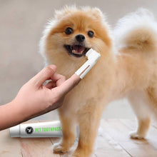 Load image into Gallery viewer, Eco-Friendly Pet Dental Care Kit