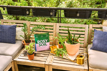 Load image into Gallery viewer, 8qt Organic potting soil mix, indoor, houseplant & herbs
