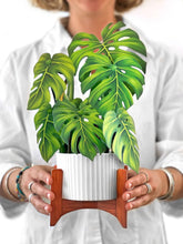 Load image into Gallery viewer, Monstera Plant Pop-up Greeting Cards