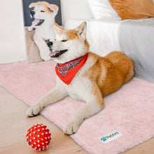 Load image into Gallery viewer, Fluffy Pet Blanket