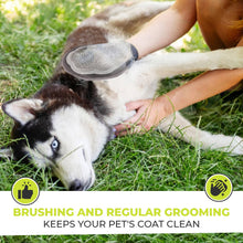 Load image into Gallery viewer, Precious Tails Grooming Mitt