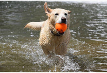 Load image into Gallery viewer, Fetch and Glow Ball