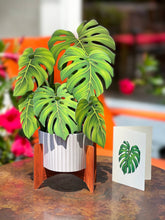 Load image into Gallery viewer, Monstera Plant Pop-up Greeting Cards