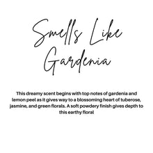 Load image into Gallery viewer, SPRING CAR DIFFUSERS: LOVE POTION #9