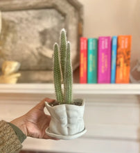 Load image into Gallery viewer, Man Planter: Gray