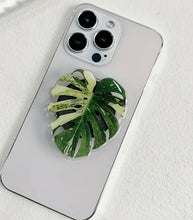 Load image into Gallery viewer, Plant Phone Holder
