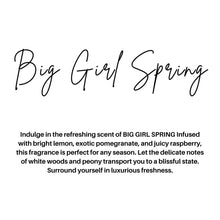 Load image into Gallery viewer, SPRING CAR DIFFUSERS: MY OH MY