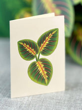 Load image into Gallery viewer, Prayer Plant Pop-up Greeting Cards