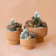 Load image into Gallery viewer, Presley Pedestal Pot - Ginger: 4.5 inch