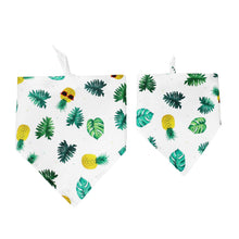 Load image into Gallery viewer, Furbud - Summer Pet Bandana
