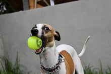 Load image into Gallery viewer, Fetch and Glow Ball