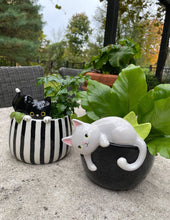 Load image into Gallery viewer, Peek-A-Boo Kitty Planter