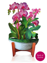 Load image into Gallery viewer, Orchid OasisPop-up Greeting Cards