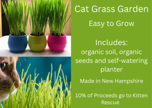 Load image into Gallery viewer, Cat Grass Garden Balls