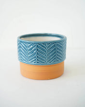 Load image into Gallery viewer, Two Color Leaf Vein Pot