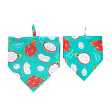 Load image into Gallery viewer, Furbud - Summer Pet Bandana