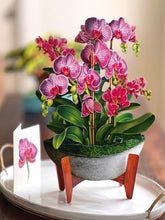 Load image into Gallery viewer, Orchid OasisPop-up Greeting Cards
