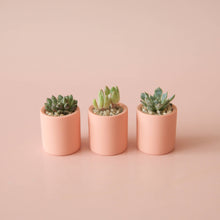 Load image into Gallery viewer, Tiny Pot - Peach