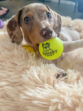 Load image into Gallery viewer, Fetch and Glow Ball