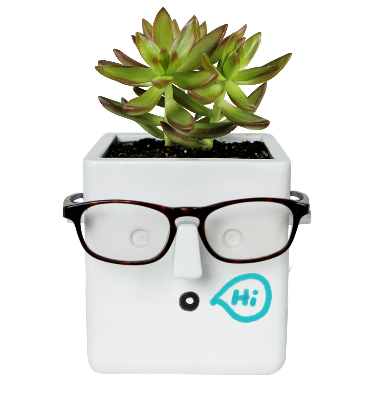glasses holder plant pot Face Plant Planter
