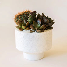 Load image into Gallery viewer, Speckle Footed Pot - White Small