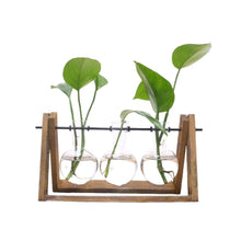 Load image into Gallery viewer, Plant Terrarium Wooden Stand Glass Bottle