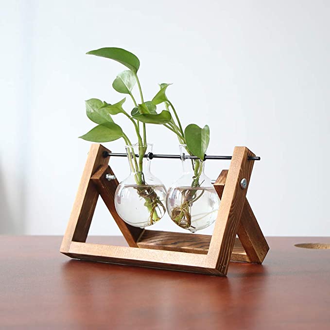 Plant Terrarium Wooden Stand Glass Bottle – Ivy and Vines Boutique