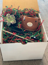 Load image into Gallery viewer, Animal Planter Succulent Kit in a box