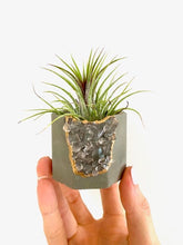 Load image into Gallery viewer, Mixed Color - Crystal Geode Concrete Planter