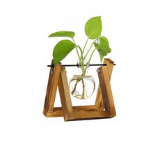 Load image into Gallery viewer, Plant Terrarium Wooden Stand Glass Bottle