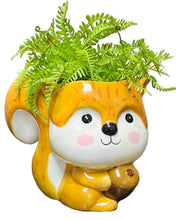 Load image into Gallery viewer, Squirrel Planter
