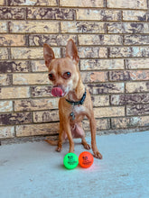 Load image into Gallery viewer, Fetch and Glow Ball

