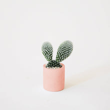 Load image into Gallery viewer, Tiny Pot - Peach
