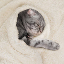 Load image into Gallery viewer, Fluffy Pet Blanket
