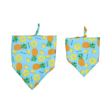 Load image into Gallery viewer, Furbud - Summer Pet Bandana
