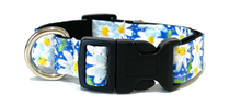 Load image into Gallery viewer, Dog Collars
