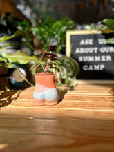 Load image into Gallery viewer, Plum Lady Body Planter or Vase: Terracotta

