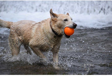 Load image into Gallery viewer, Fetch and Glow Ball
