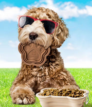 Load image into Gallery viewer, Modern Monkey sWAG Collapsible Doggie Dish
