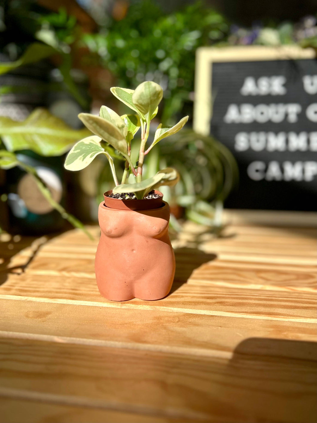 Plum Lady Body Planter or Vase: Terracotta