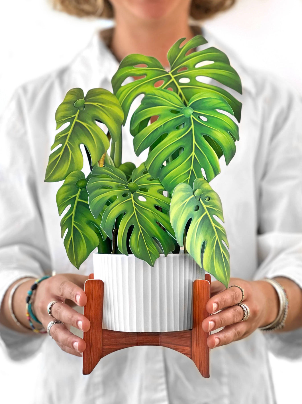 Monstera Plant (8 Pop-up Greeting Cards)