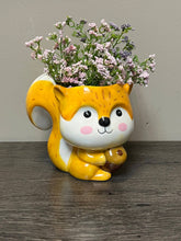 Load image into Gallery viewer, Squirrel Planter
