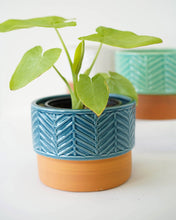 Load image into Gallery viewer, Two Color Leaf Vein Pot
