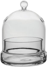 Load image into Gallery viewer, Syndicate Terrarium Cloche
